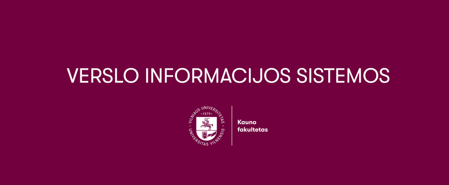 verslo informacijos sistemos 2019