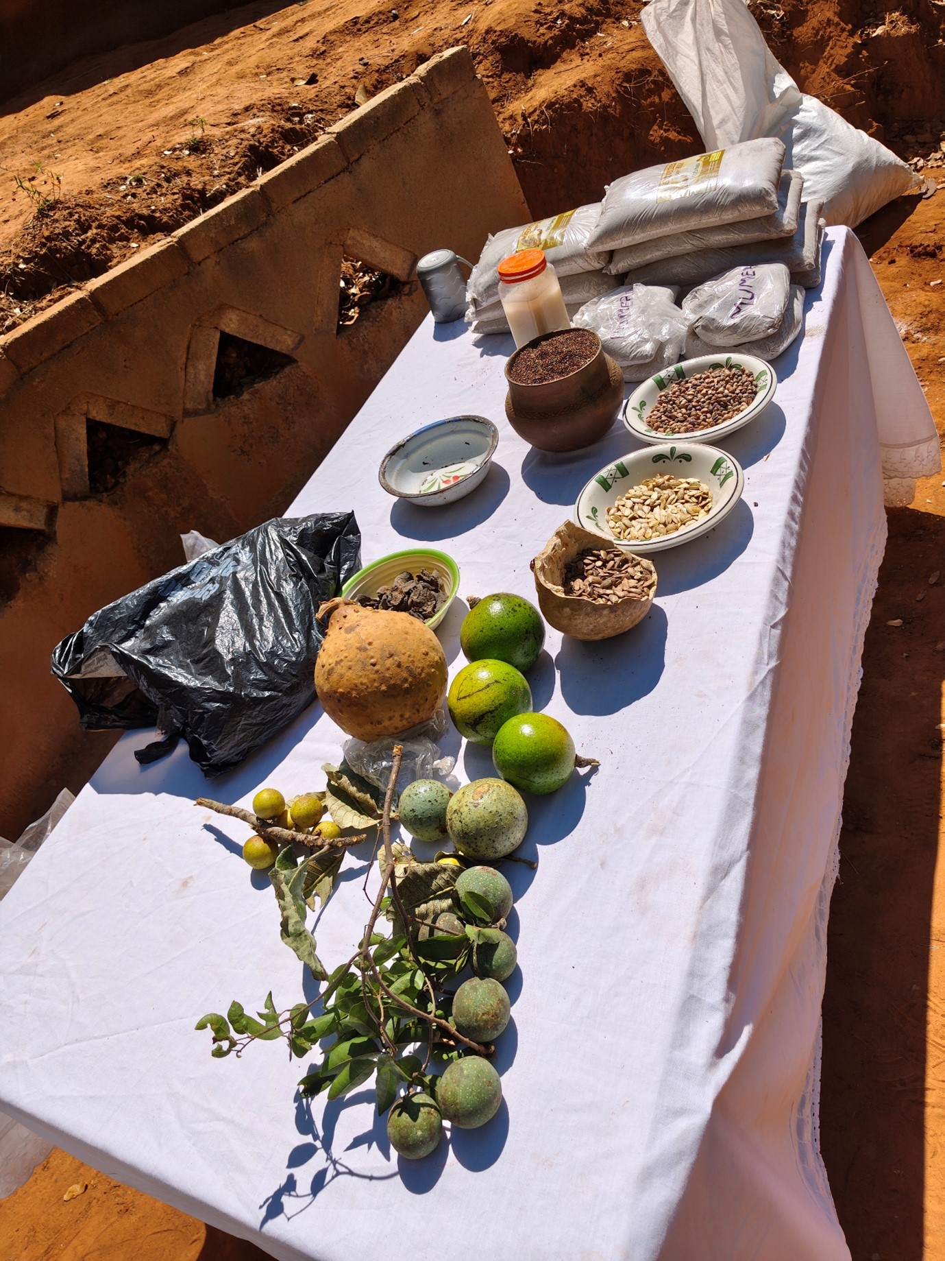 Ndau Festival 4