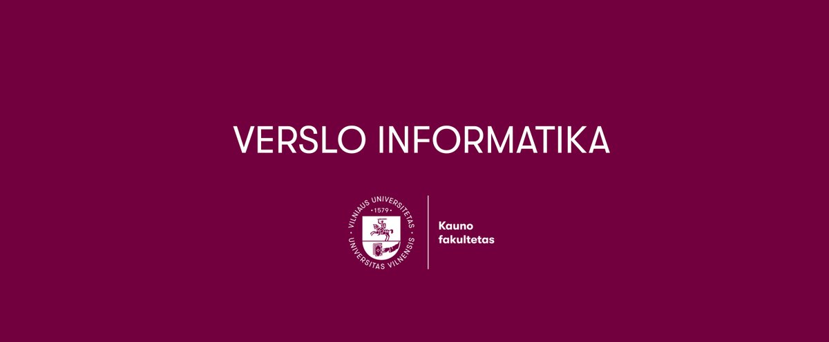 MA verslo informatika