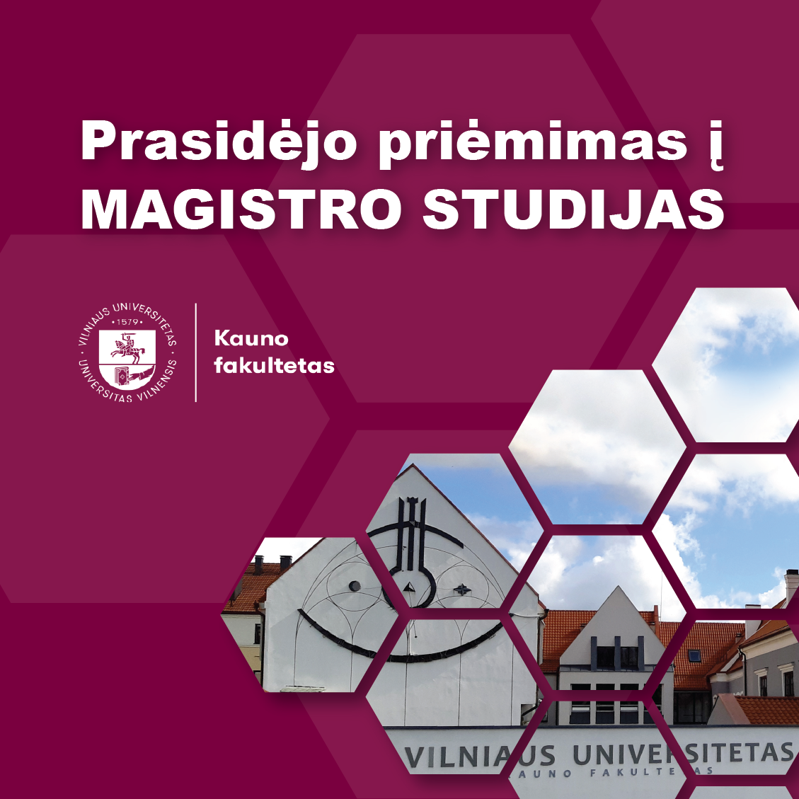 studiju-programos-magistro-bendras4-03.png