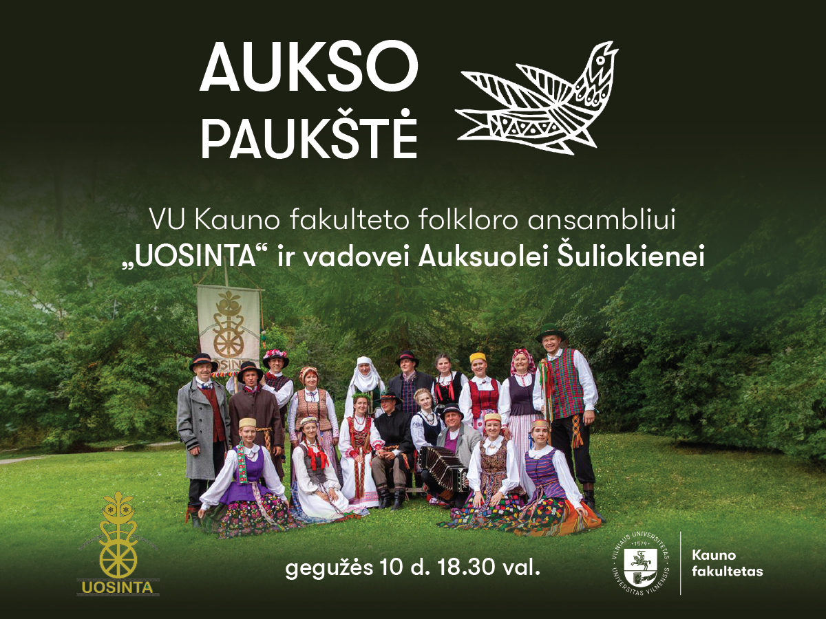 uosinta aukso paukste